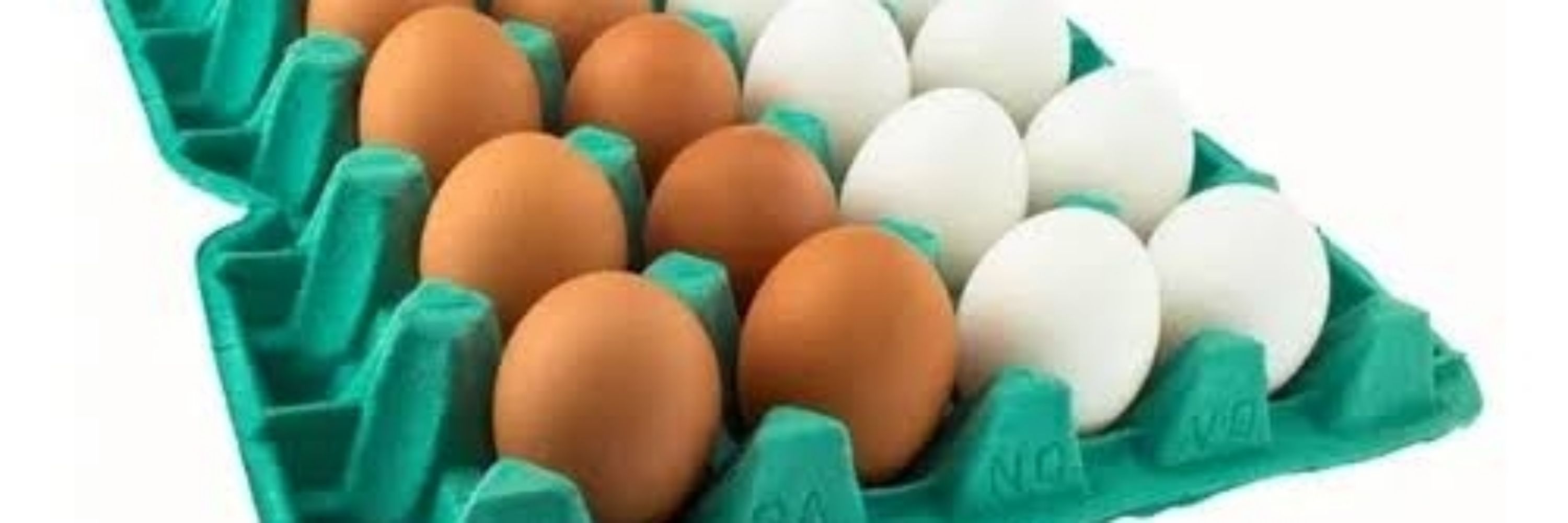 Ego