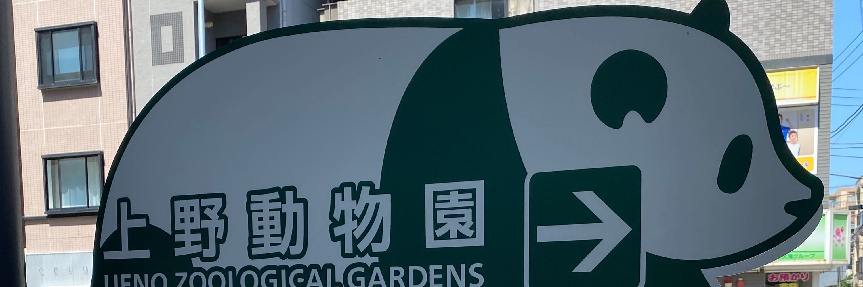 苗洲烟🌱自炊