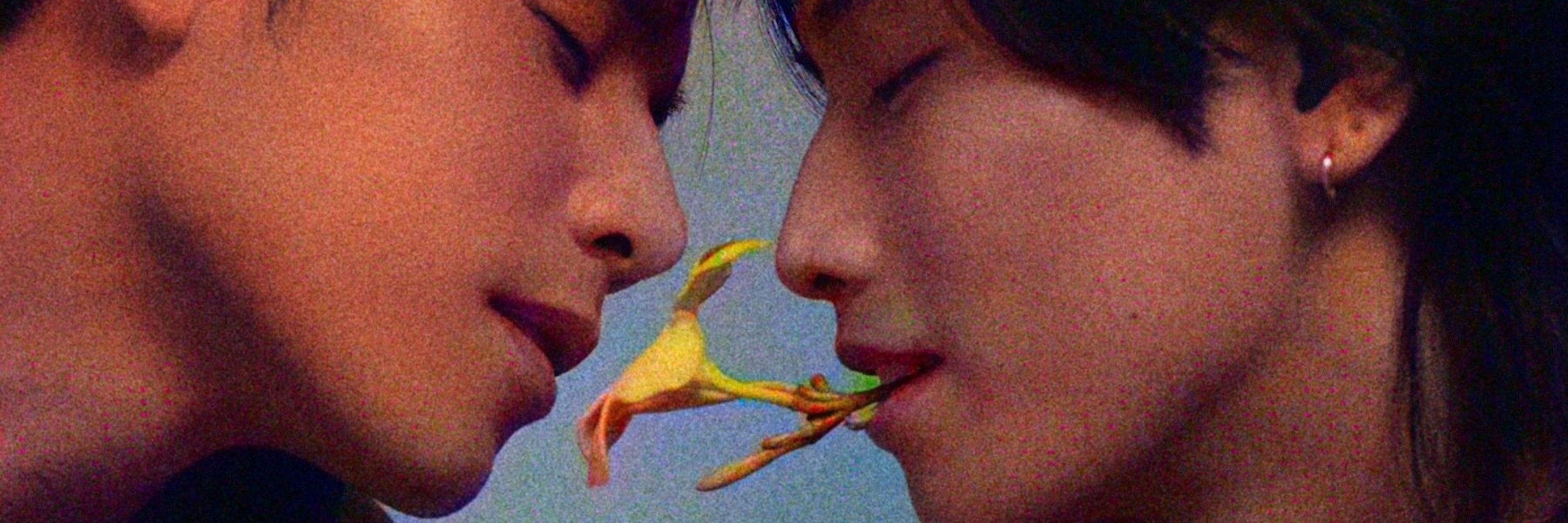 𝑵𝒊 4𝑴┃𝒋𝒂𝒄𝒌 𝒂𝒏𝒅 𝒋𝒐𝒌𝒆𝒓 🦋