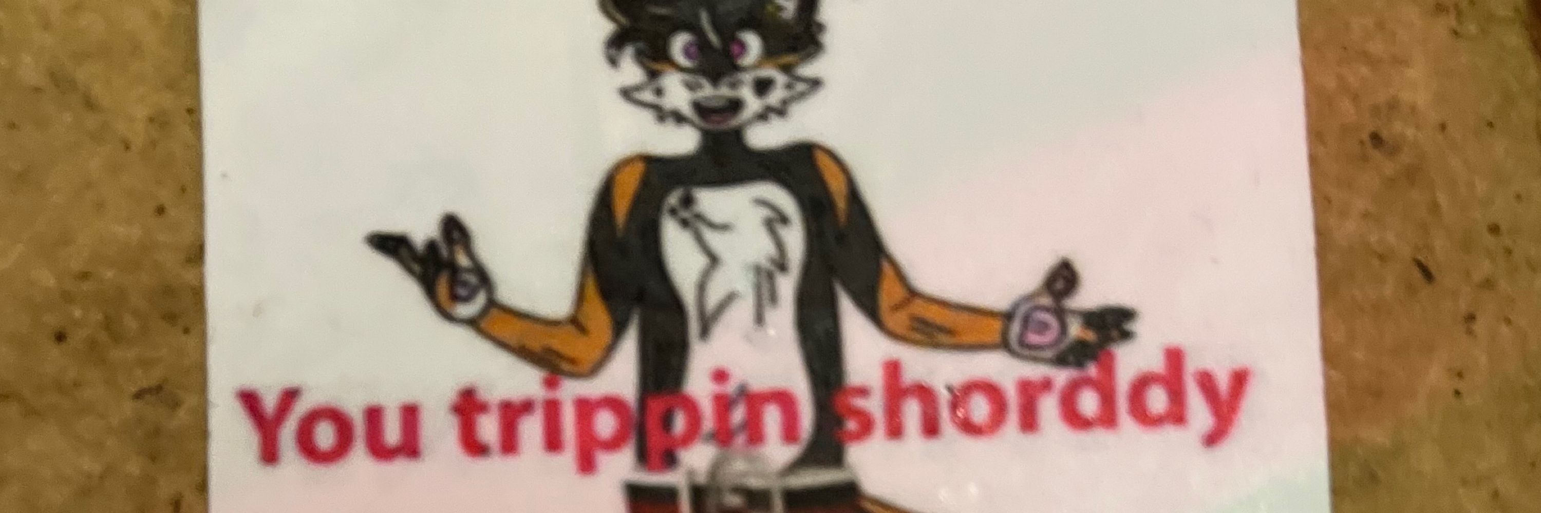 Max the Space Coyote