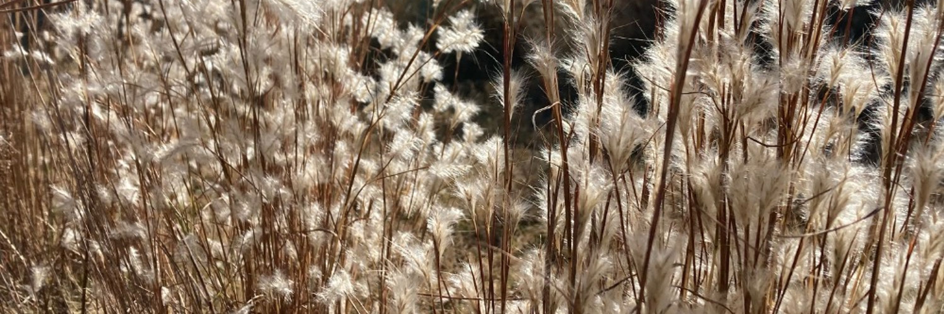piecework