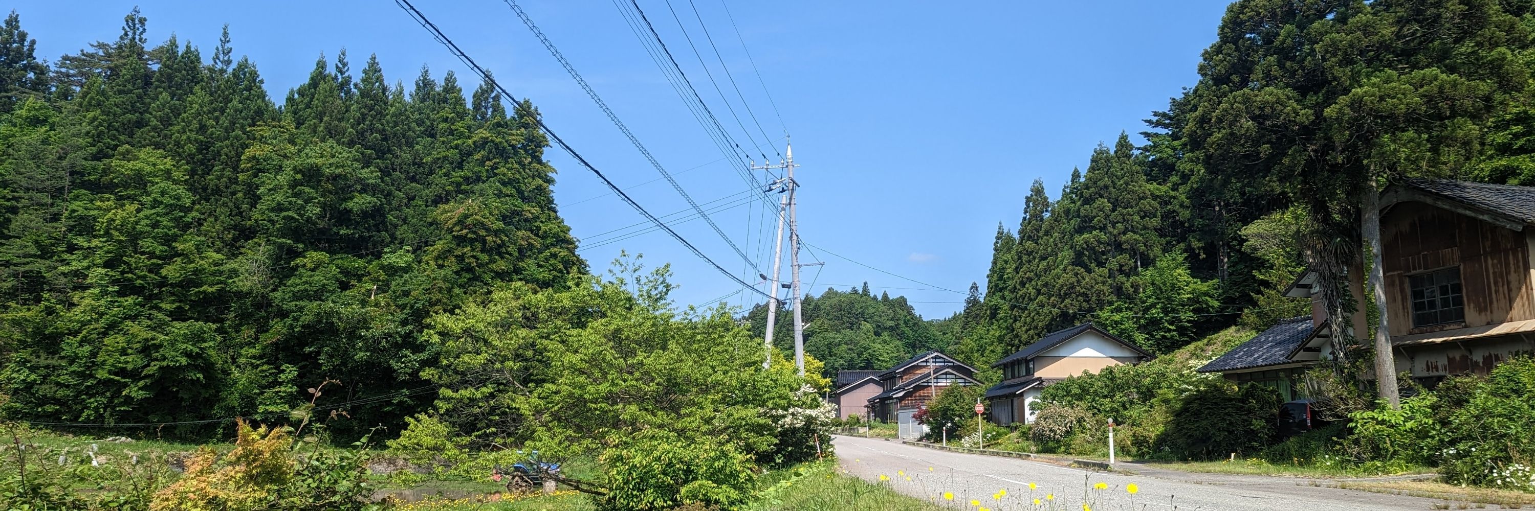 うま