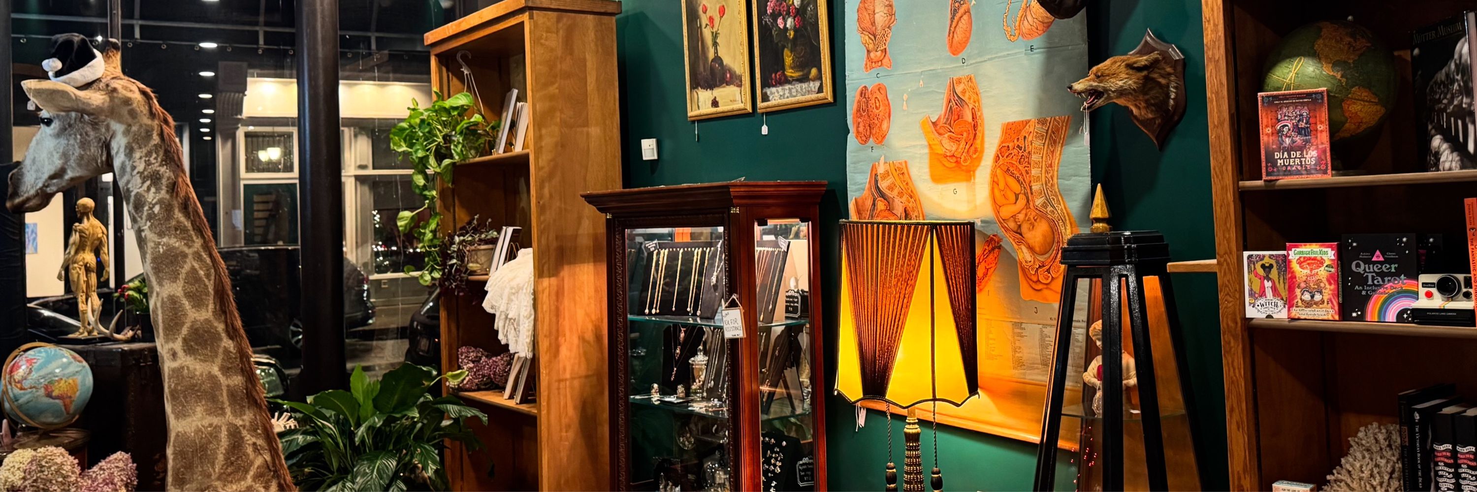 Curio Cabinet of the Hudson Valley