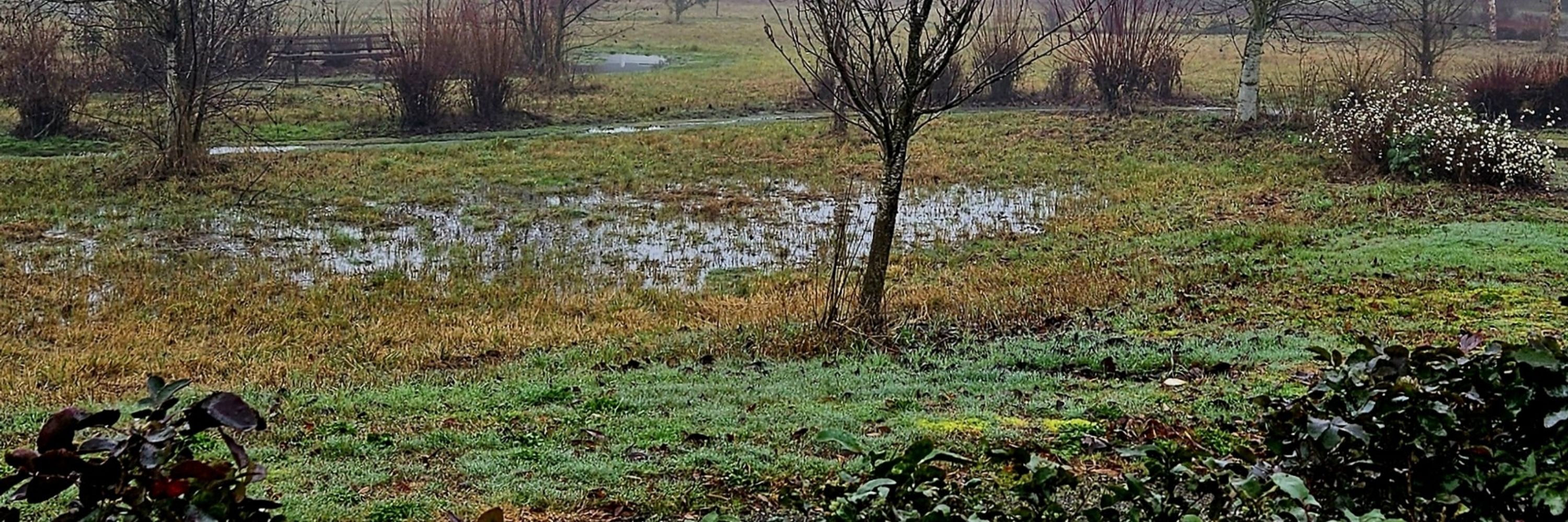 xanderkale