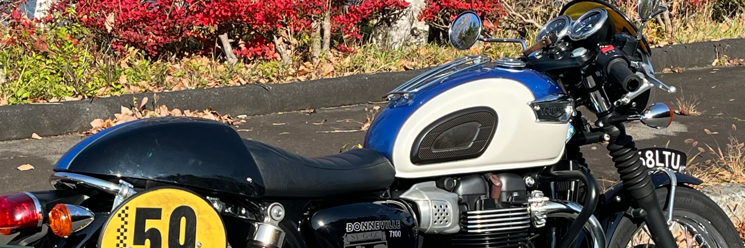 Guzzi