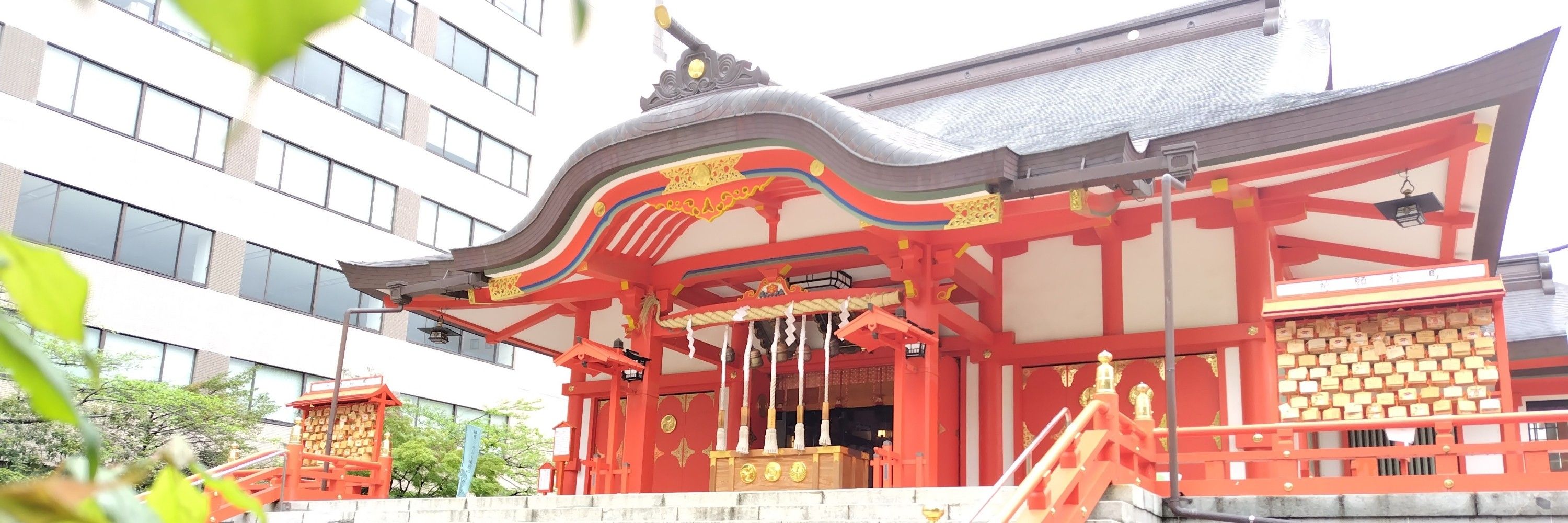 栗鼠(りっす)