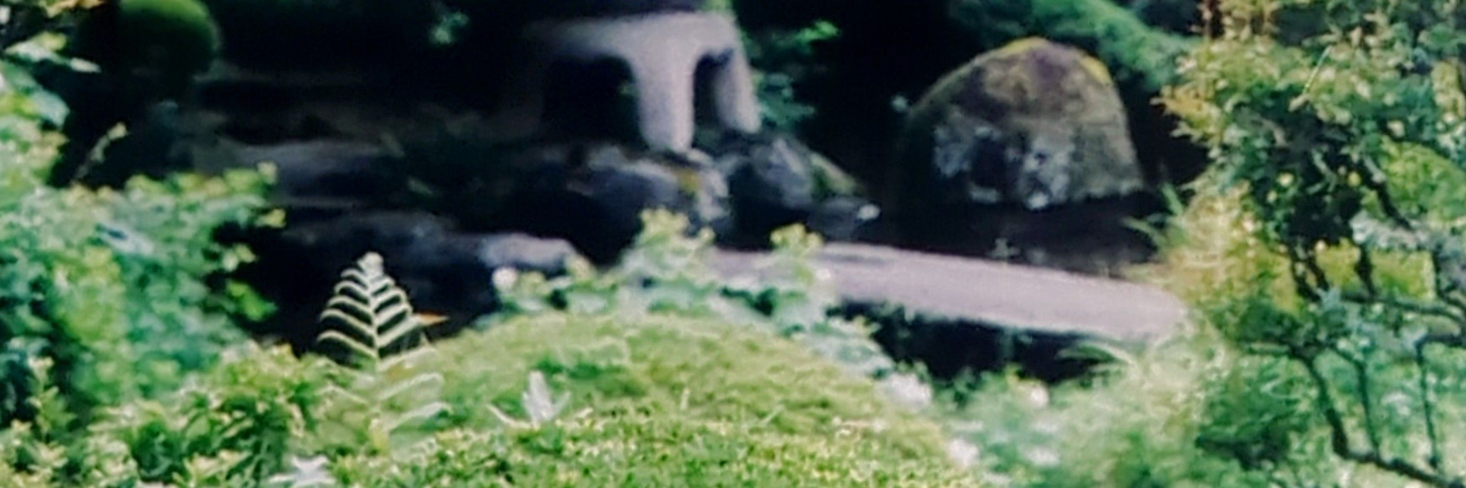まろちむ