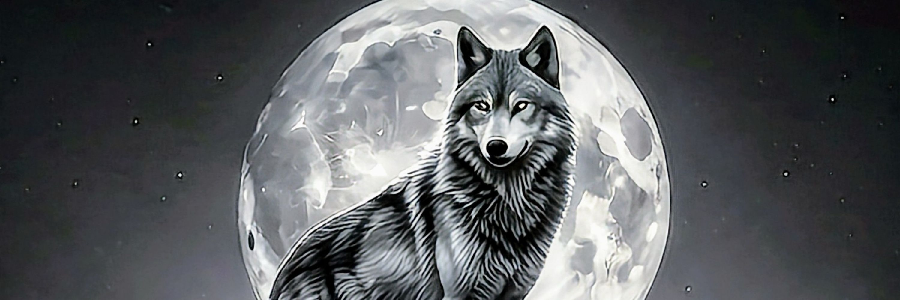 Thesoulshadow