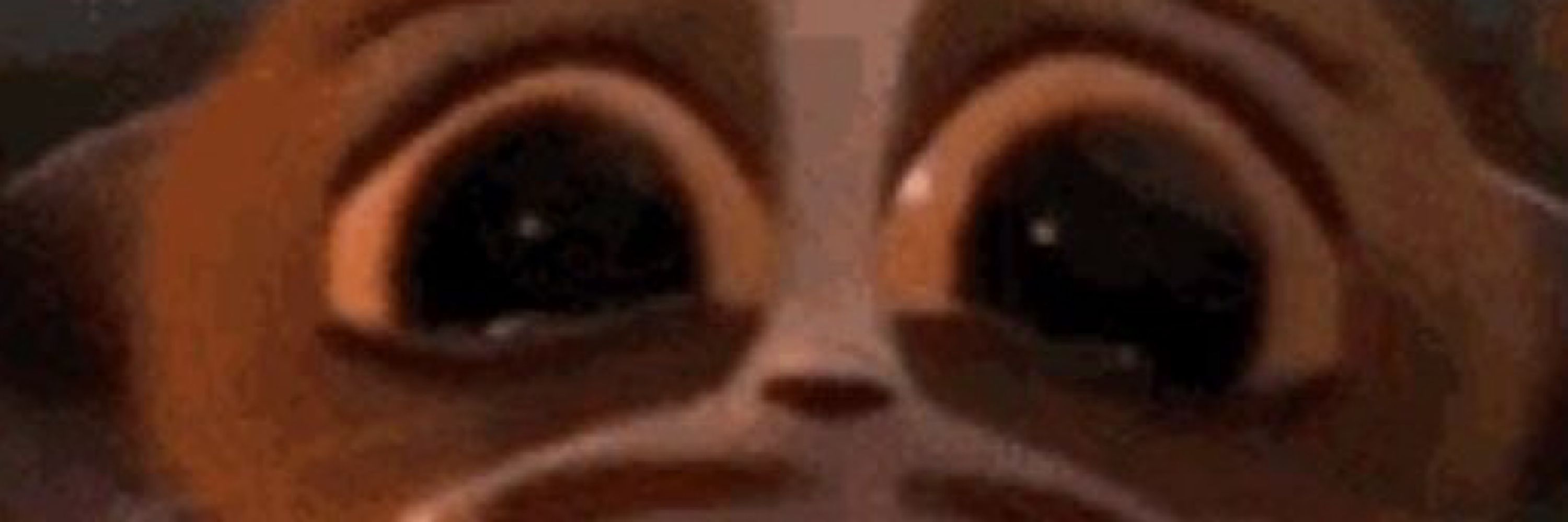simon