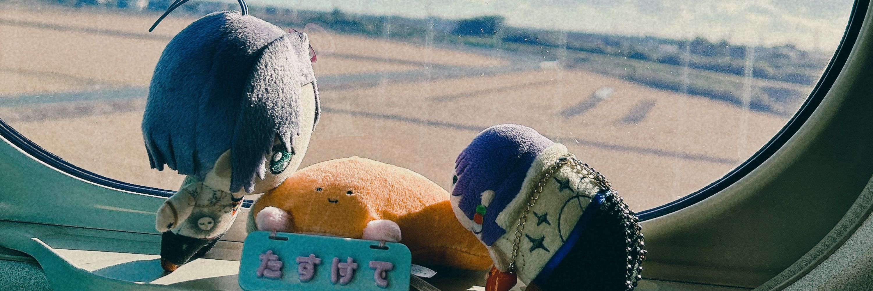 🧸ﾄﾞﾝ