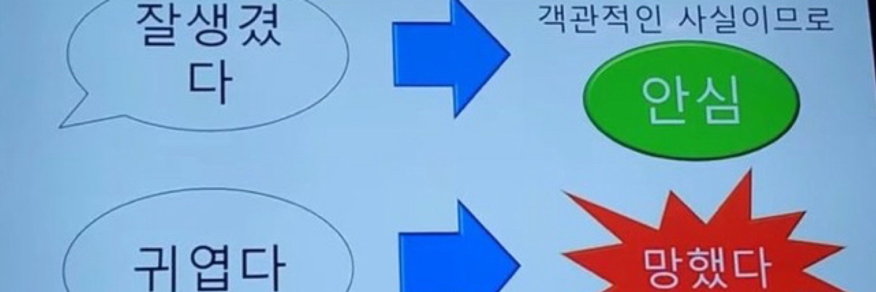 곤약