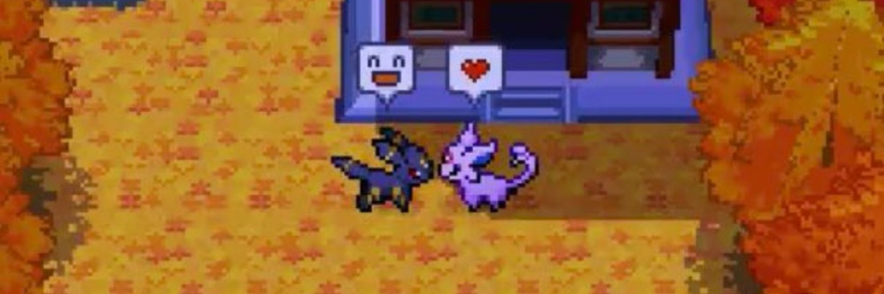 The biggest cat