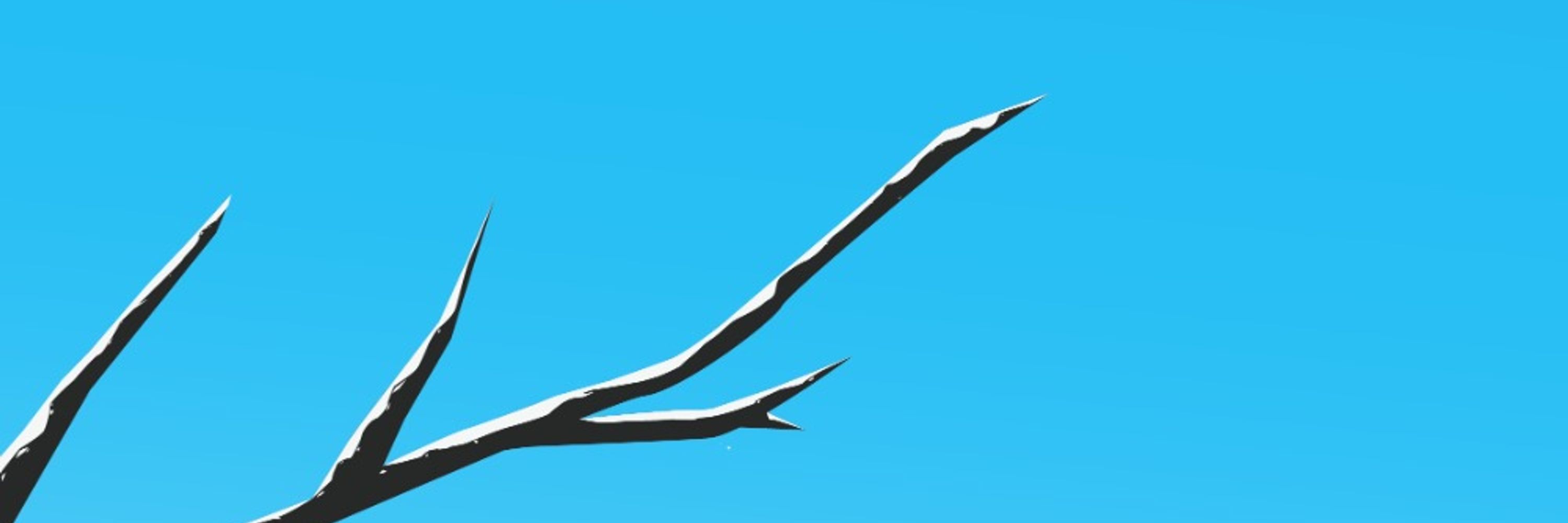 fortysigma