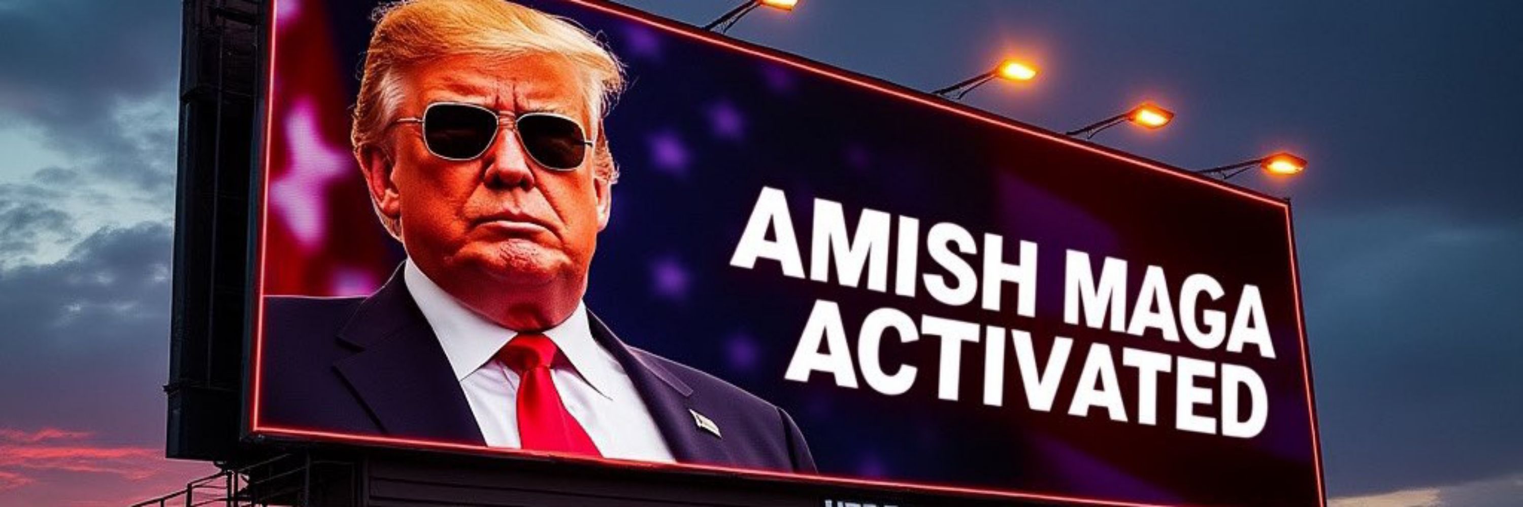 The Amish Bee