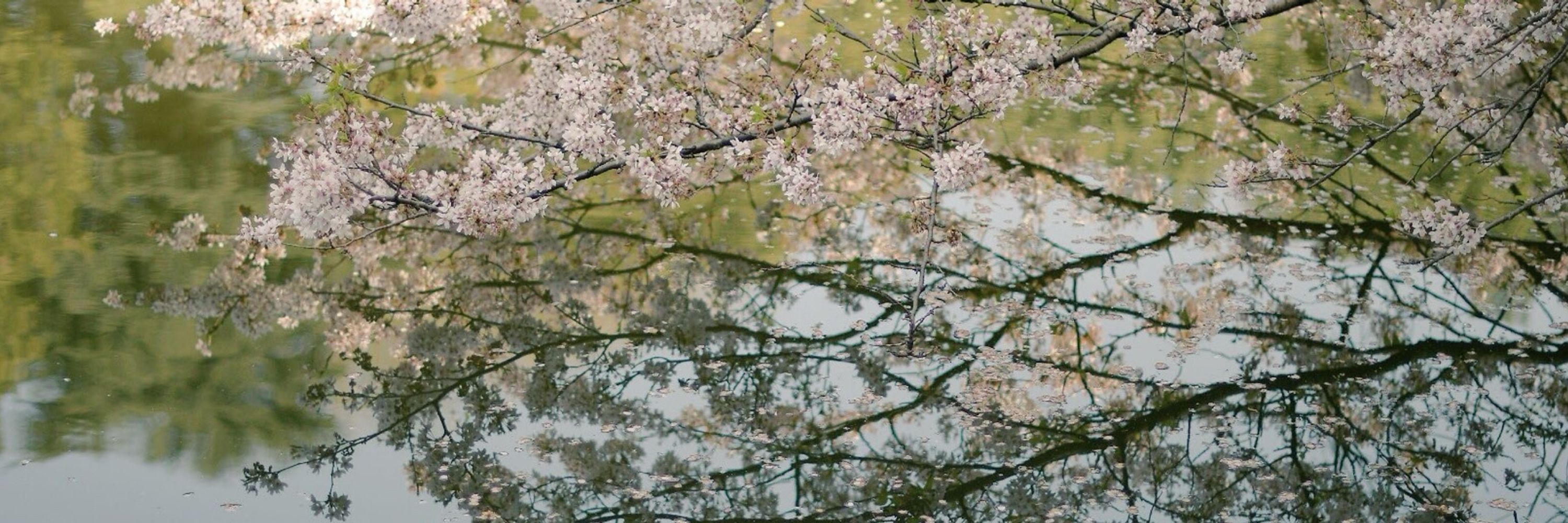 りっか