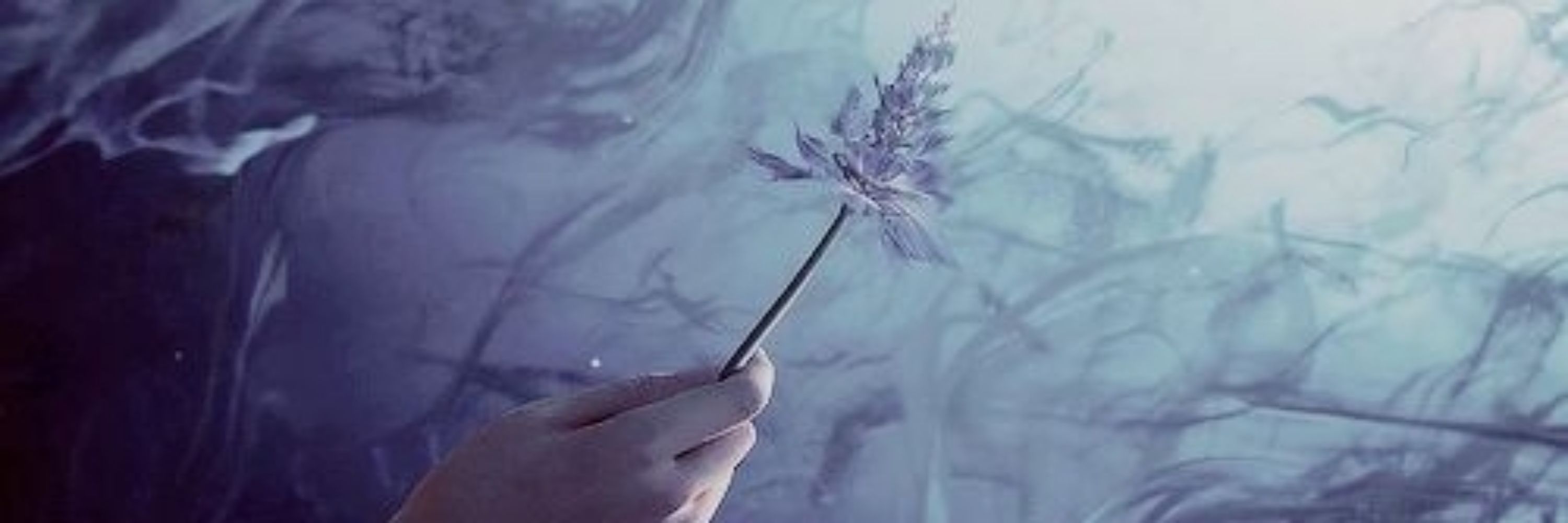 Mani (∩｀-´)⊃━☆ﾟ.*･｡ﾟ