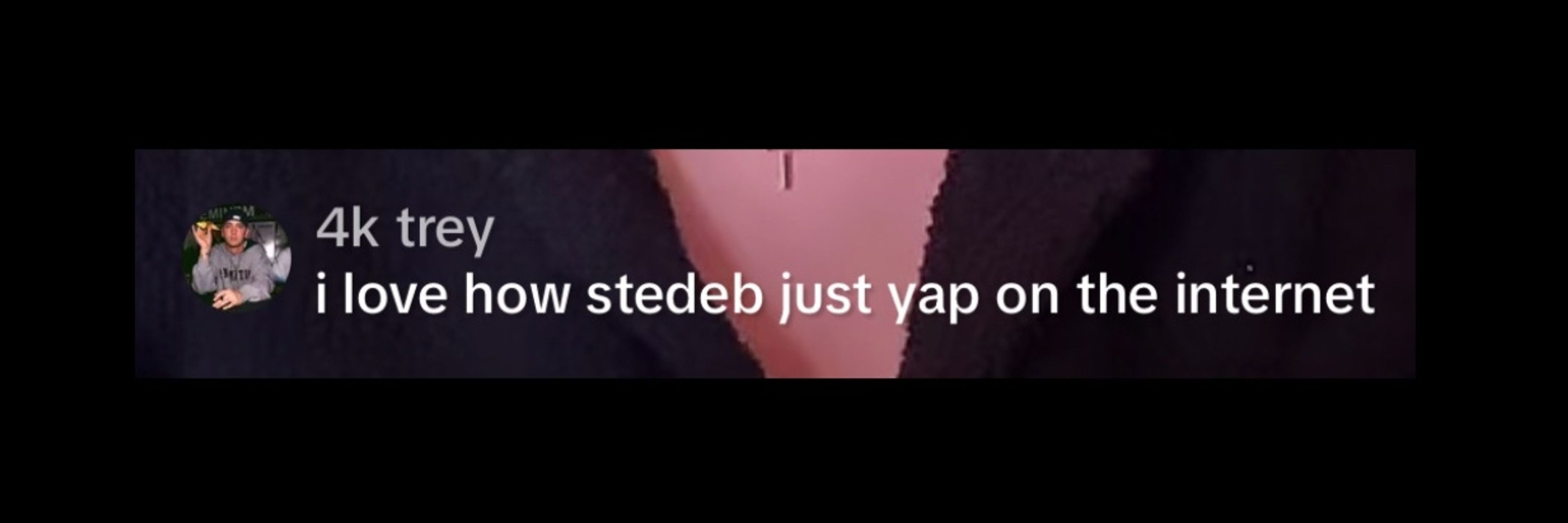Stedeb