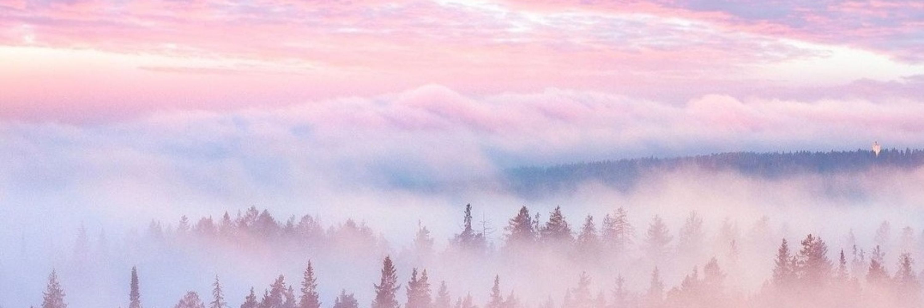 ✿⁠ ⁠♡⁠‿⁠♡⁠) (@redcrystalcherry.bsky.social) — Bluesky