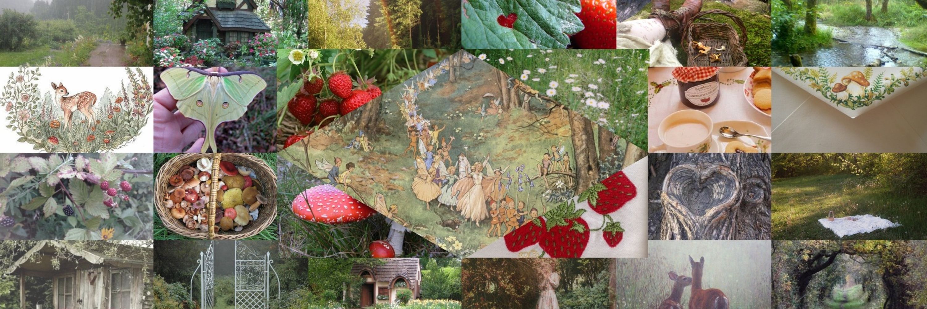 𐂂 🍓 Whimsy 🌙 𓍢ִ໋⊹