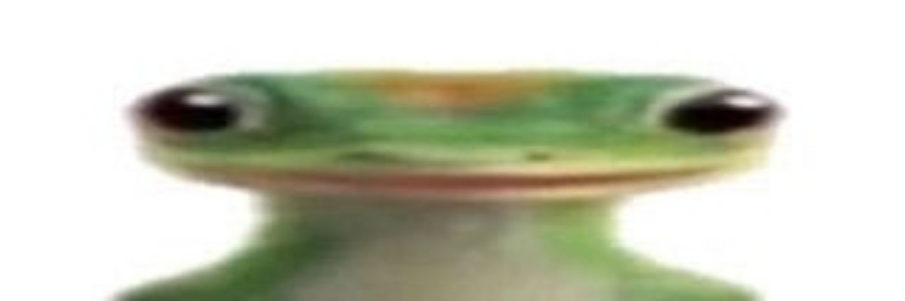 iruyasaneleh