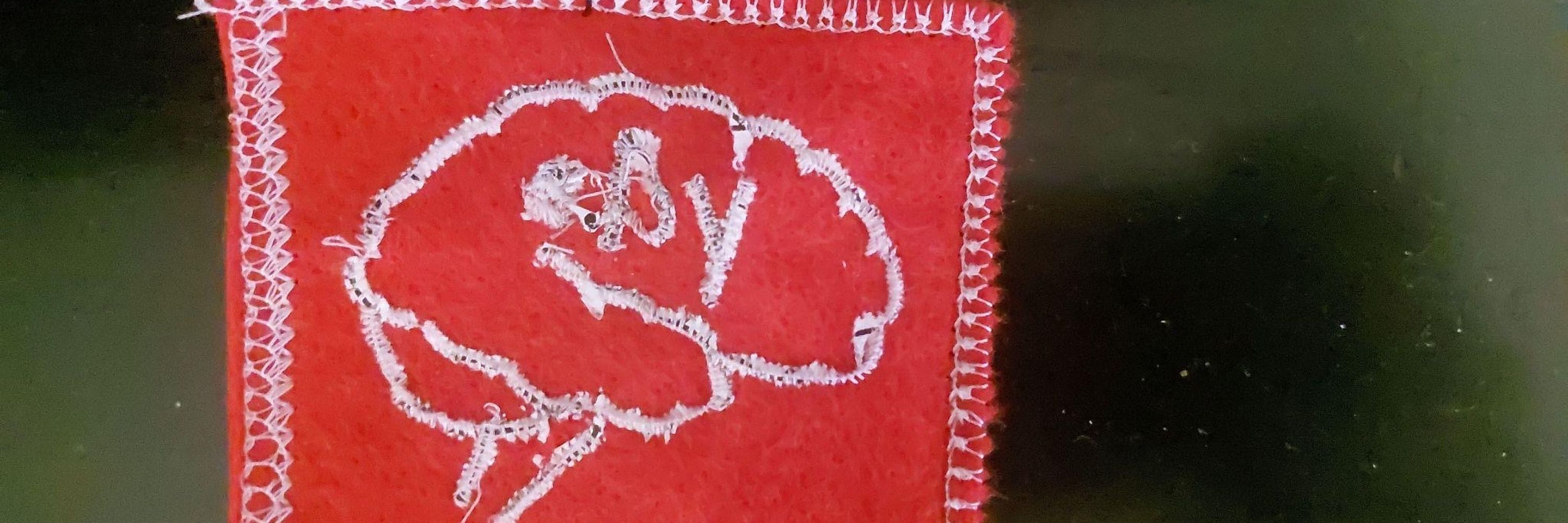 Fleur Zeldenrust