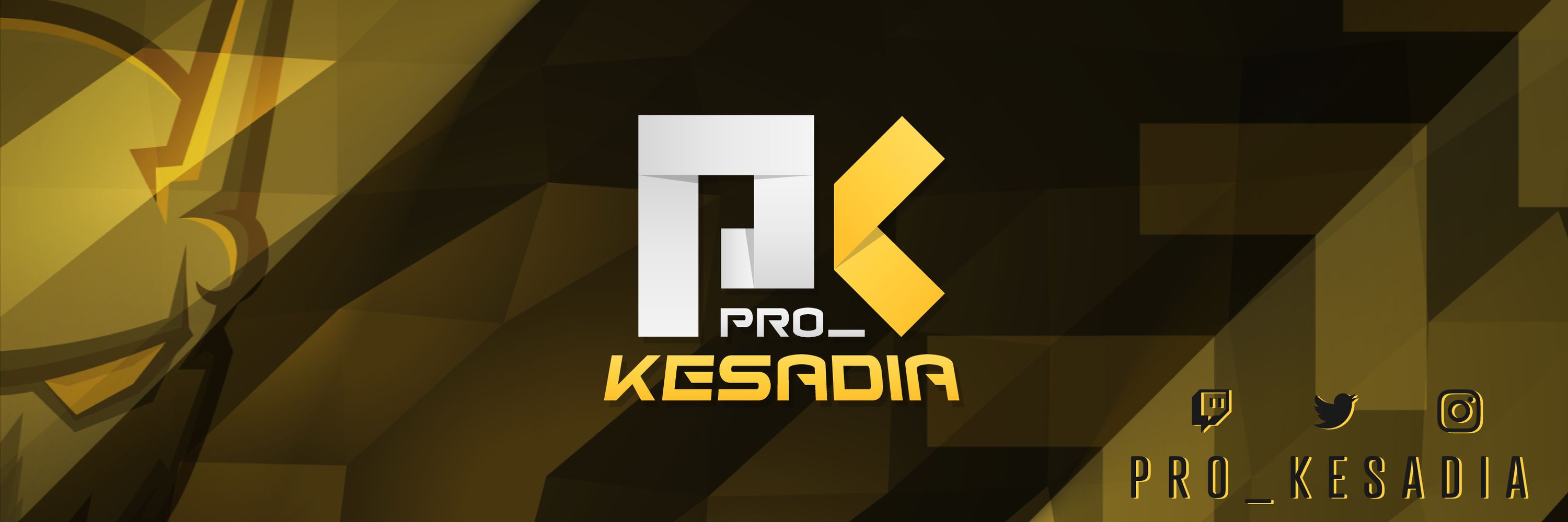 Profile banner