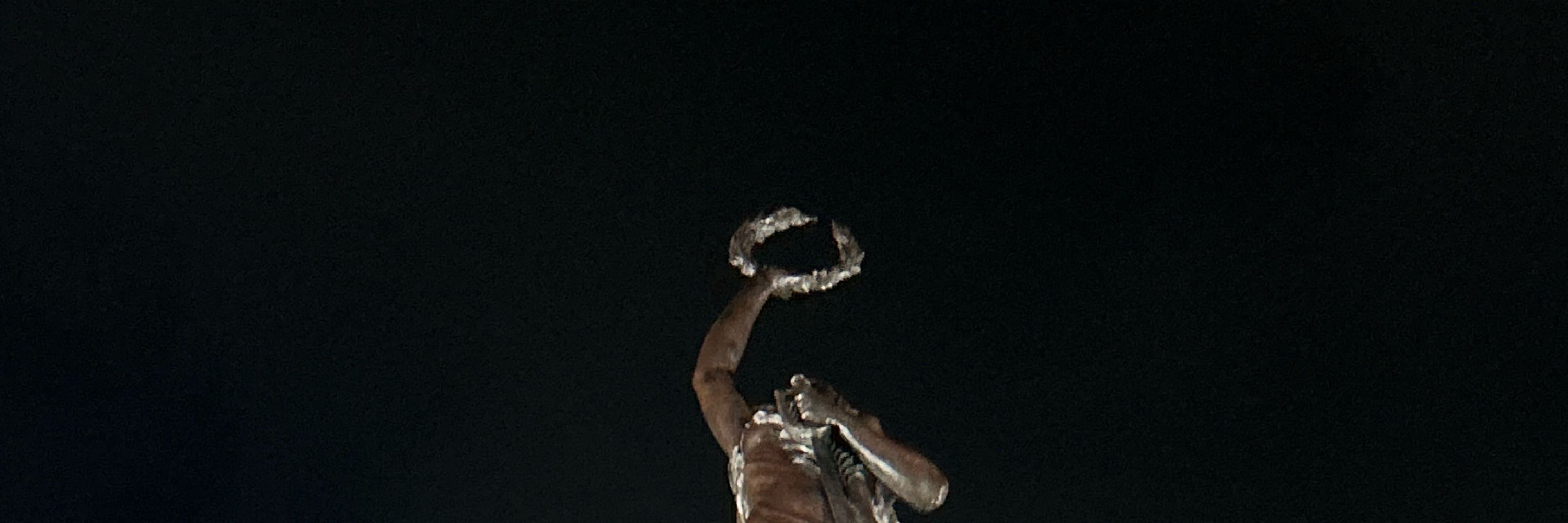 maxwell 🦅