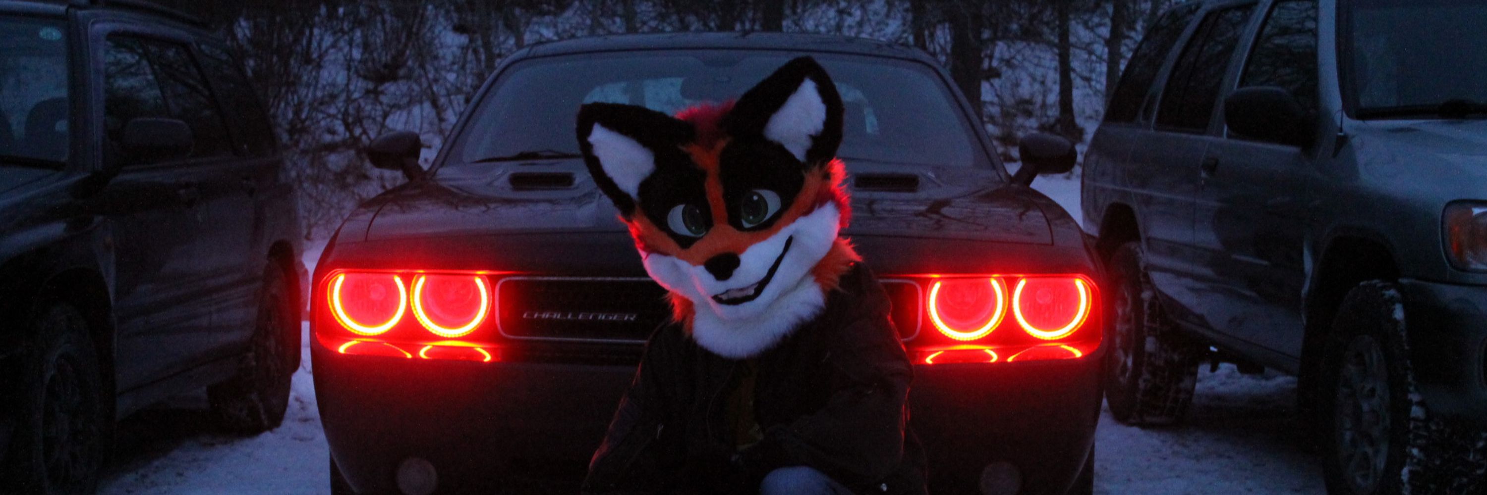Chase the Fox