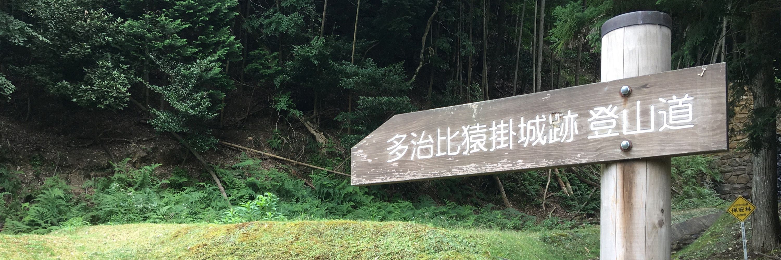 悠 