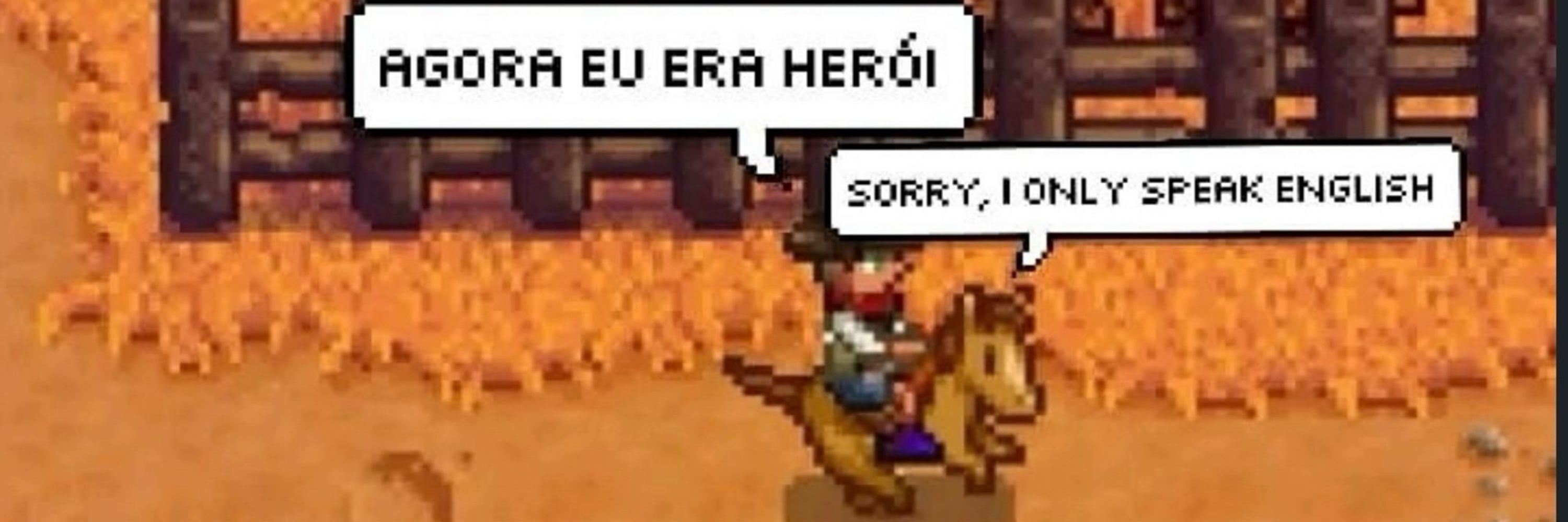 seu joão