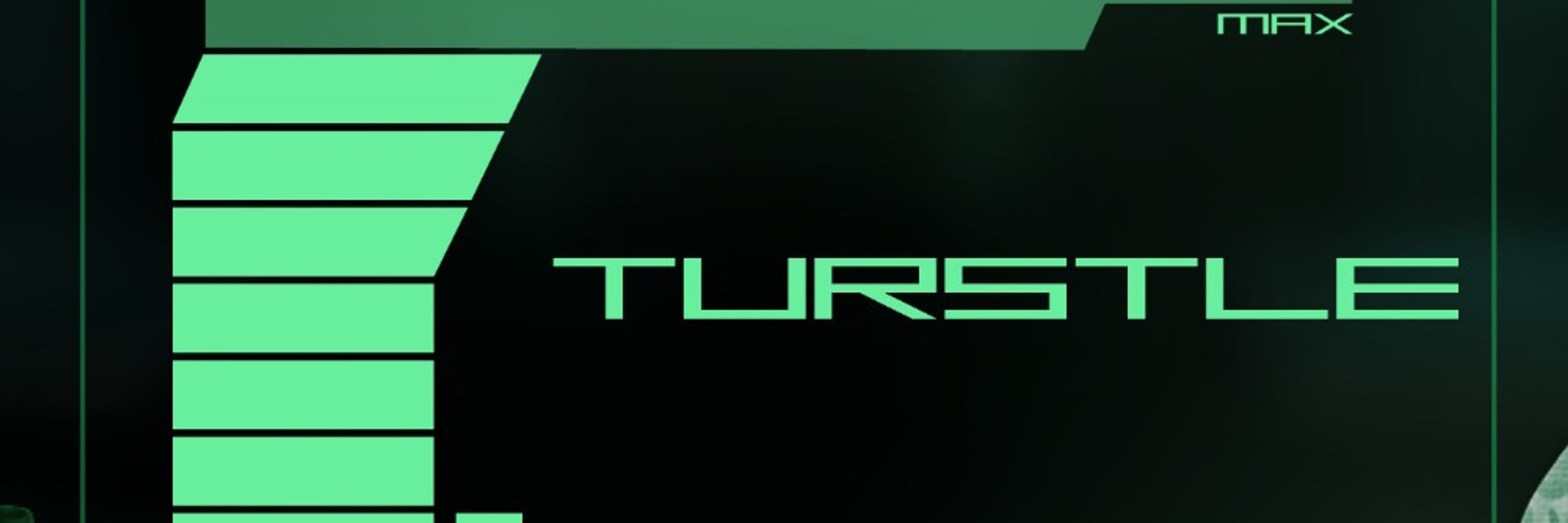 Turstle