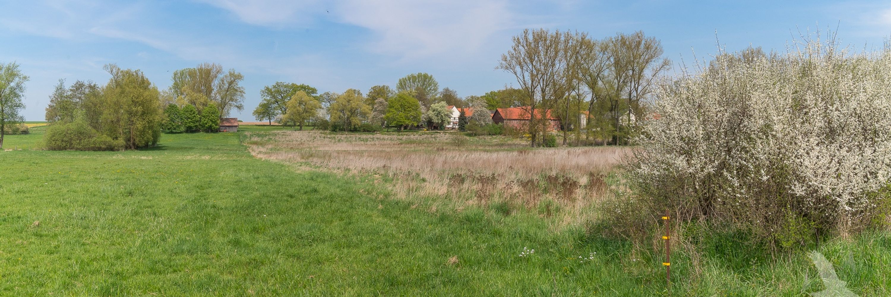 Rotmilanforschung in Hessen