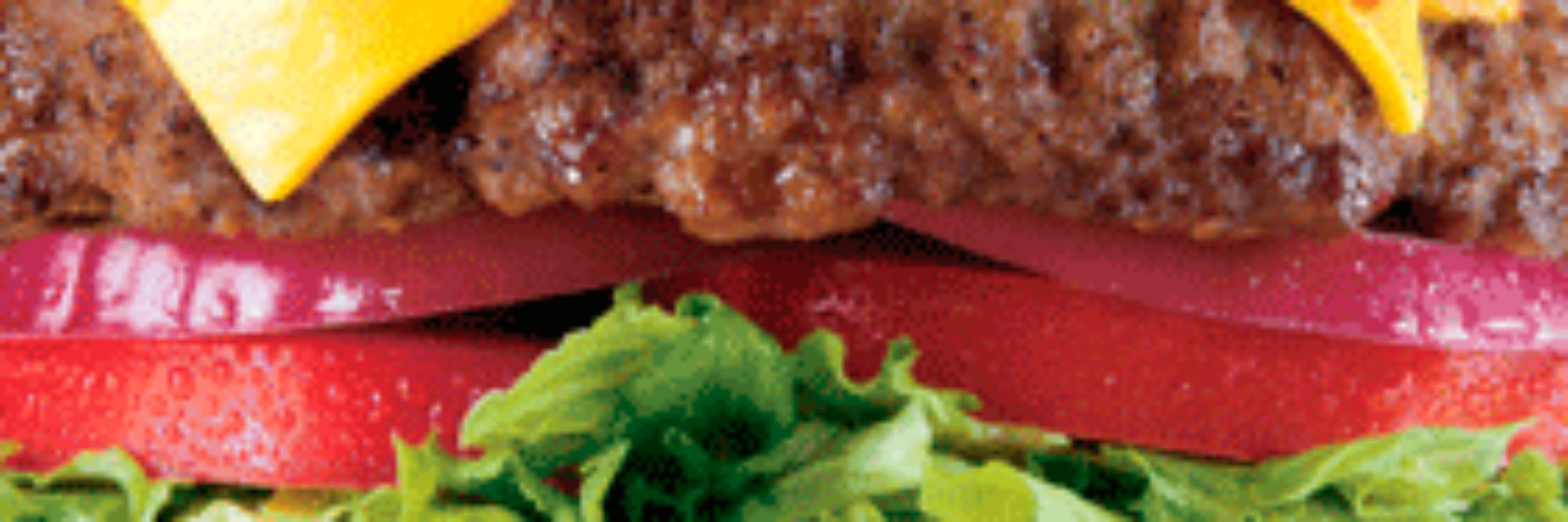 🍔 Tiny-Kal