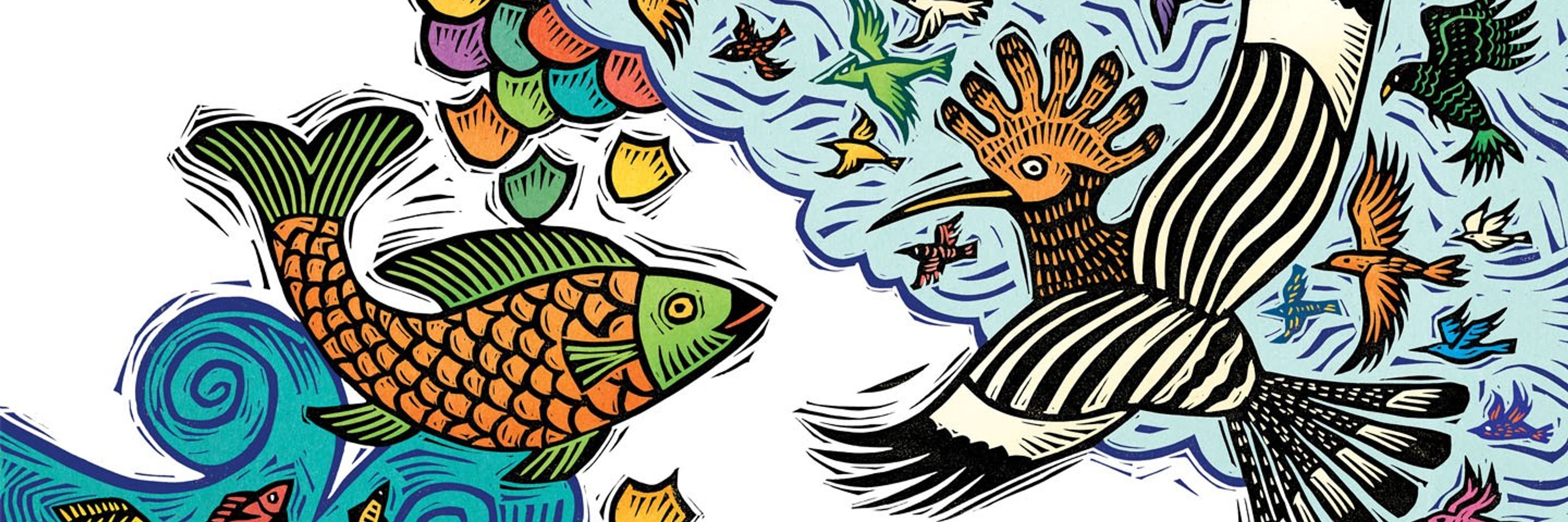 Sue Todd Illustration