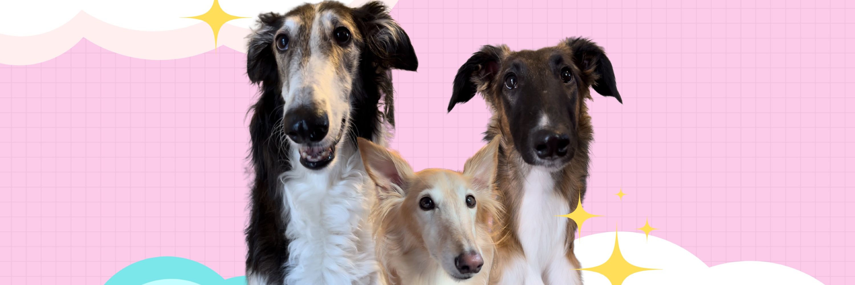 the sisters of the snoot