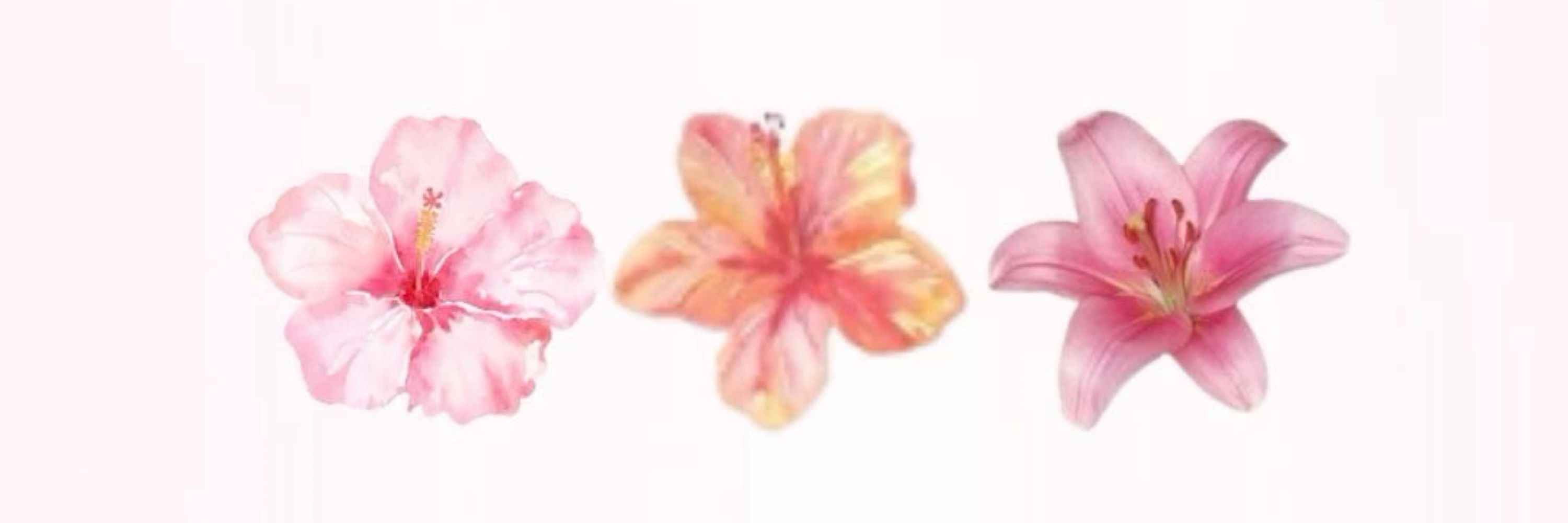 💐 
