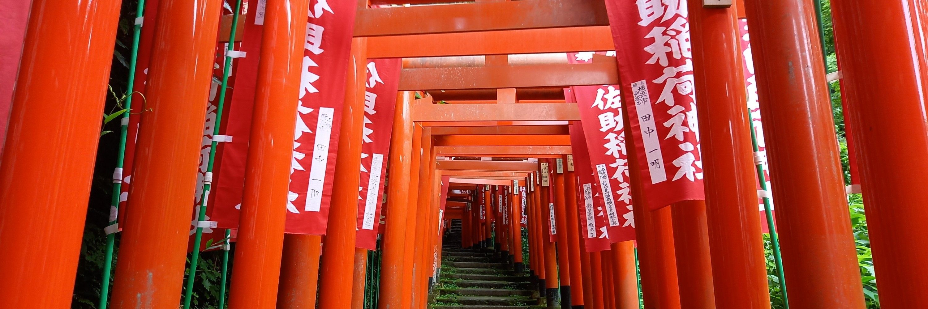 神社好き@クローバー