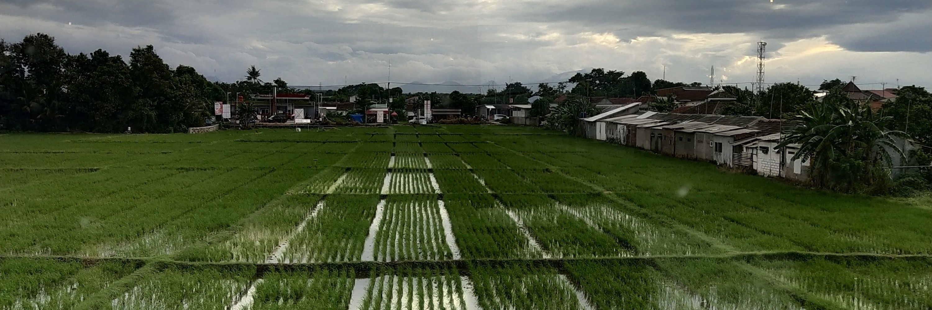 Hagemashi