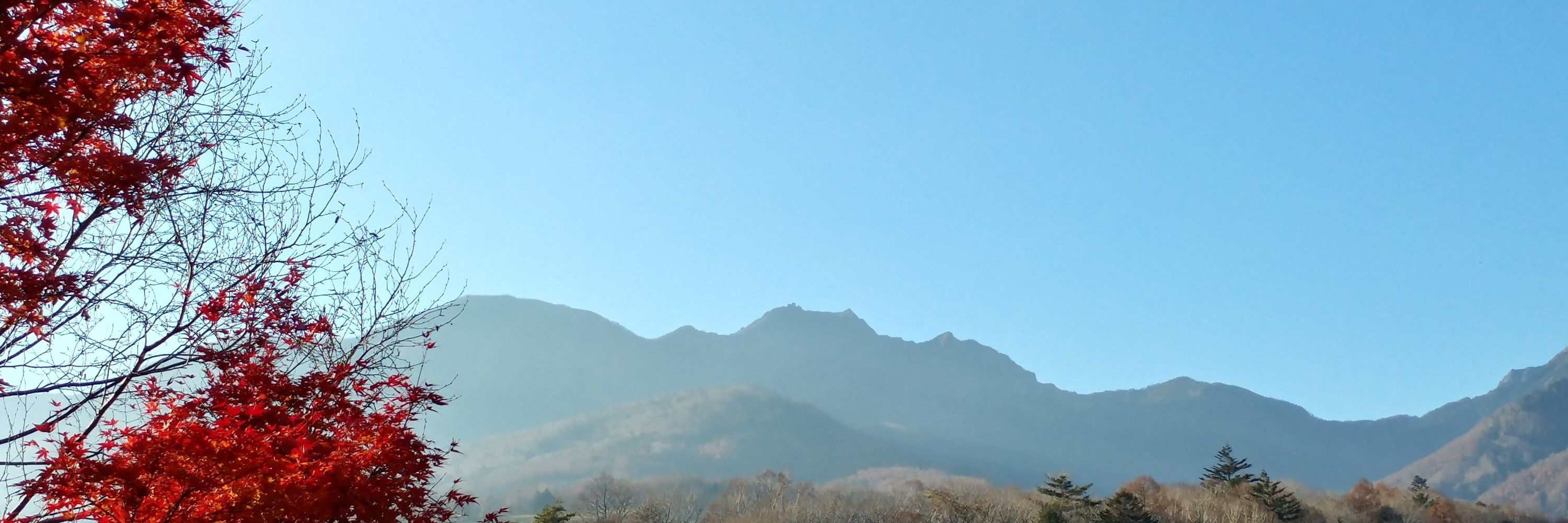 七枷