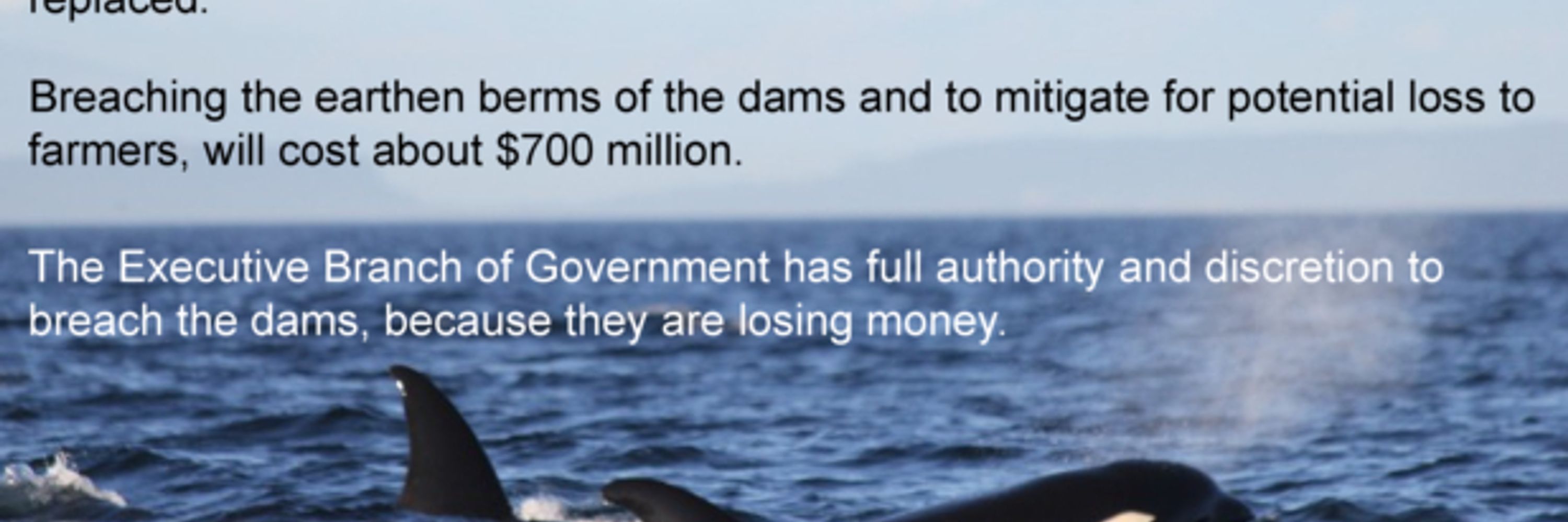 Rethink Captivity 