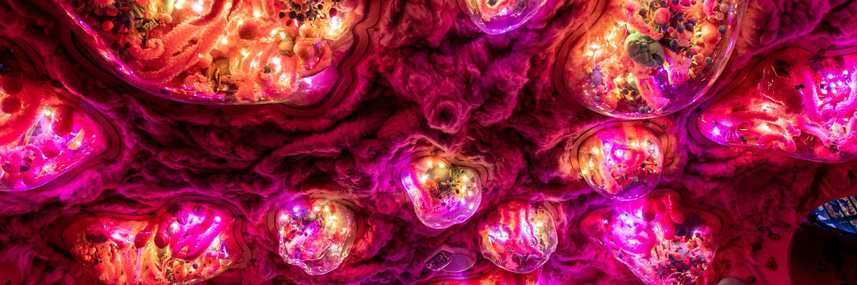 Meow Wolf