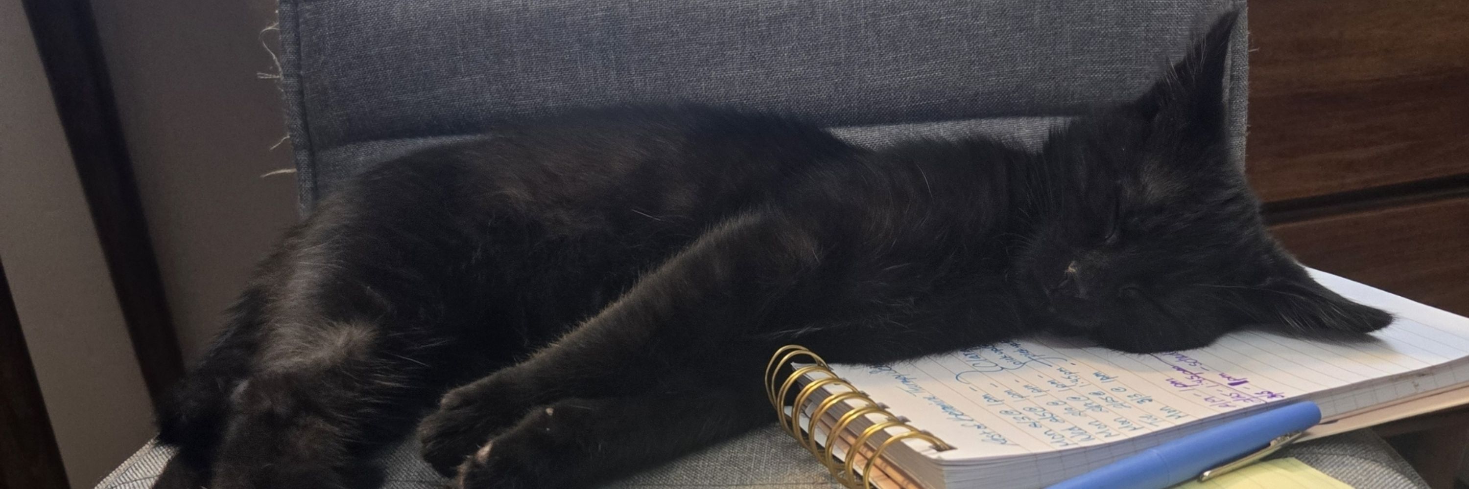 KittyKatKittyKat