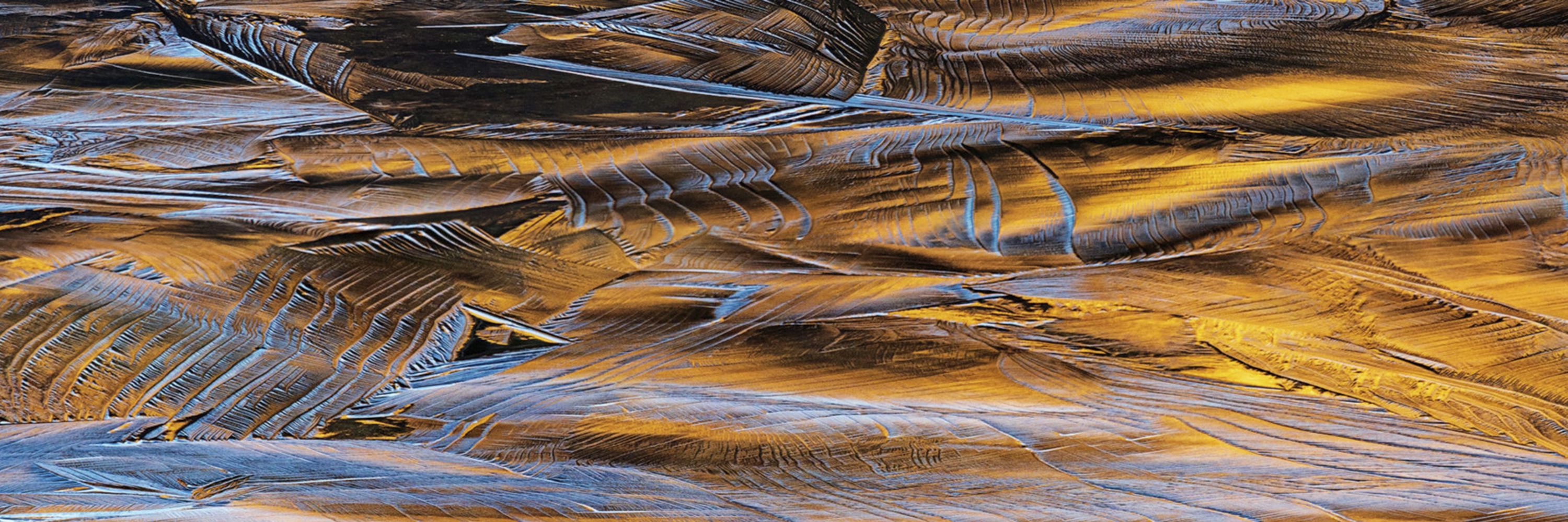 Brent Clark | Nature Photography