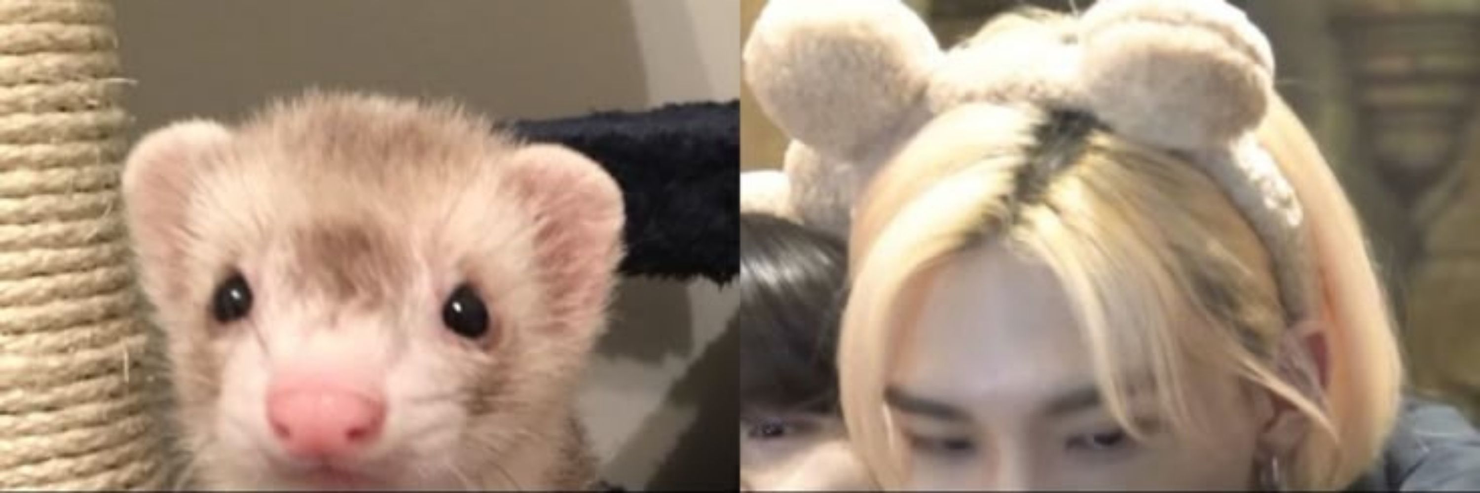빵