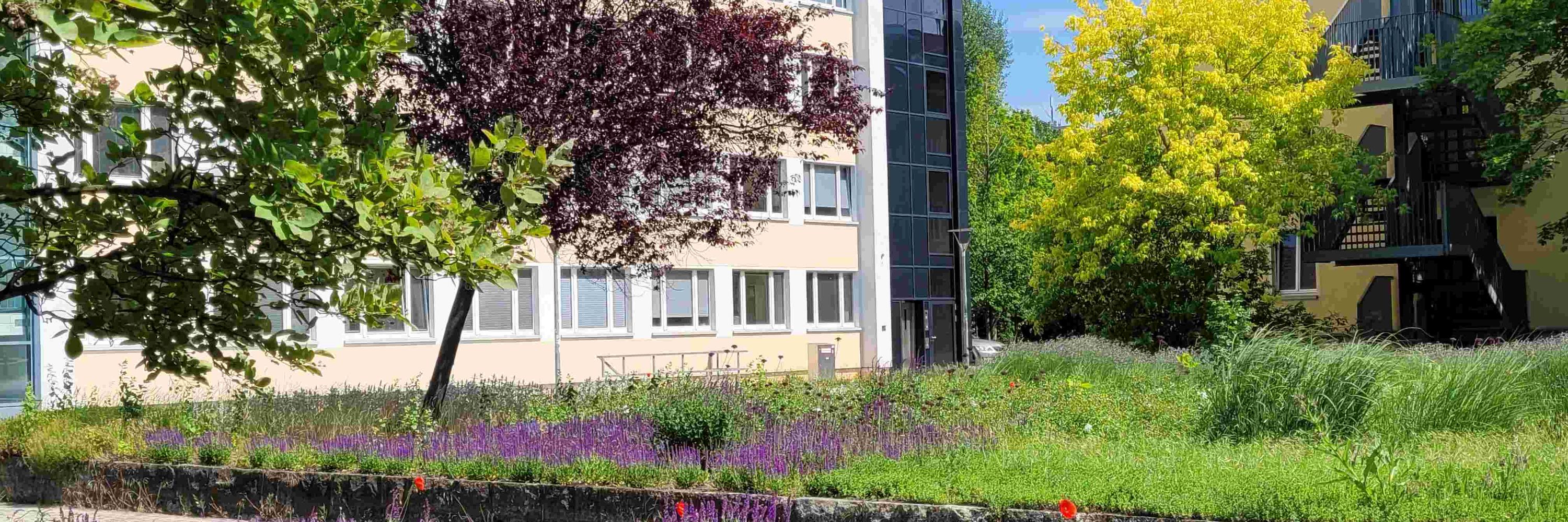 Linguistics @ Uni Erfurt