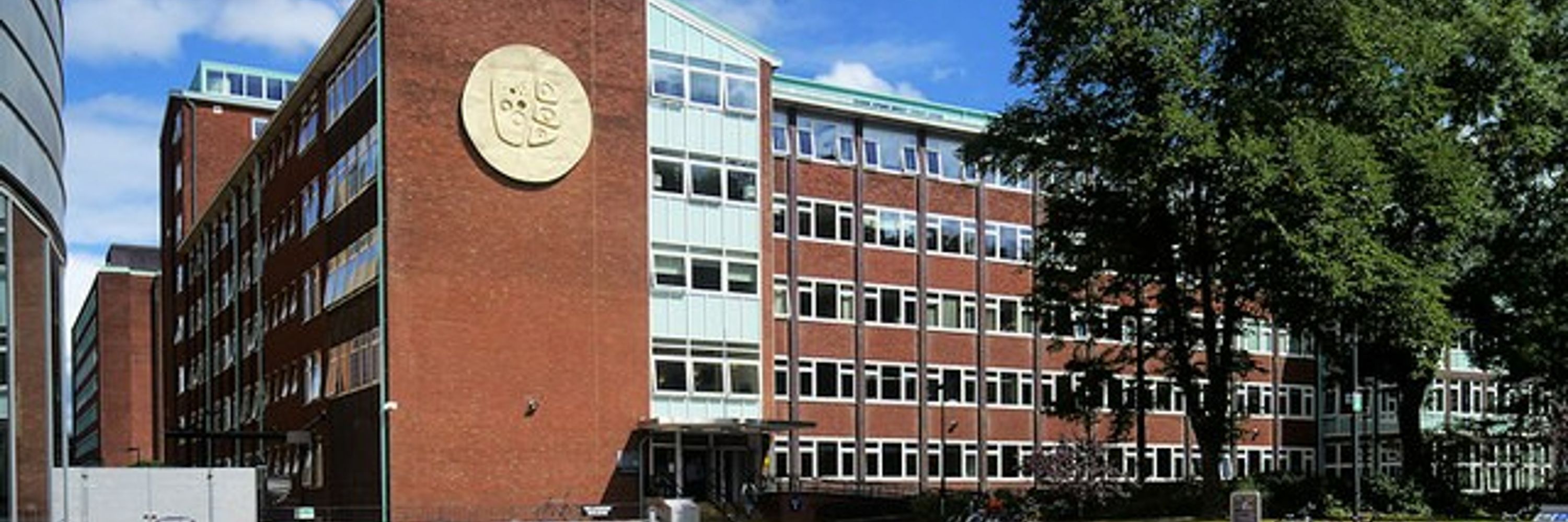 Prof Lucy Frith