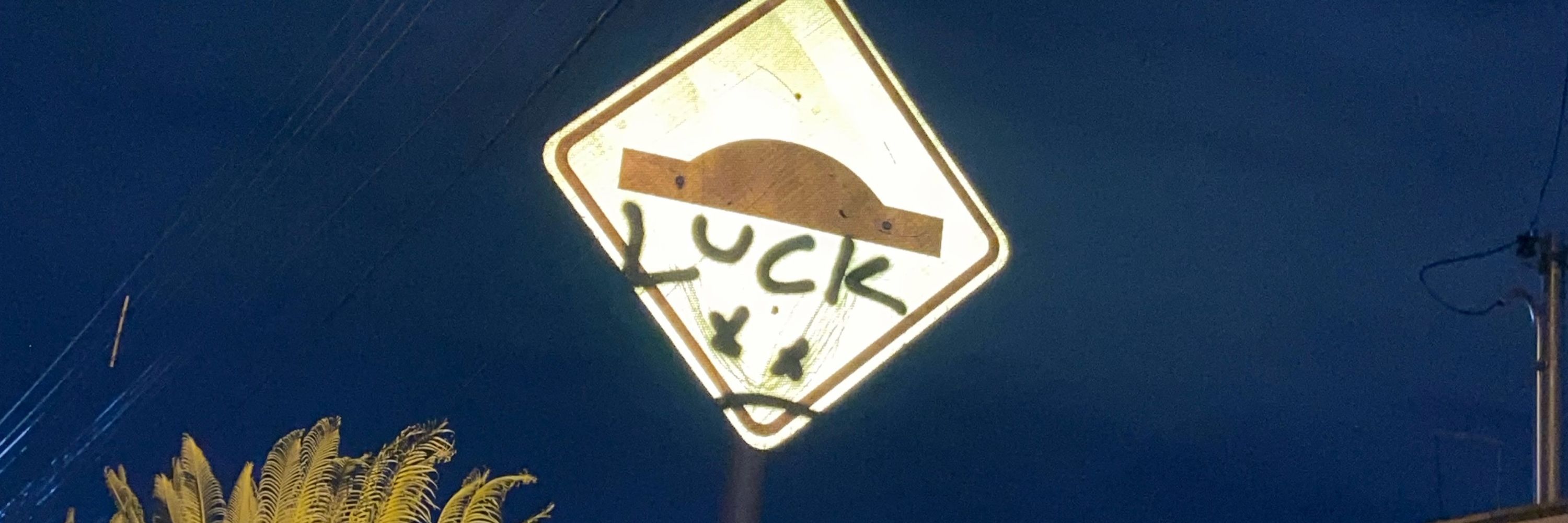 𝔩𝔬𝔤𝔬 𝔬 𝔤𝔞̂𝔫𝔤𝔰𝔱𝔢𝔯 𝔞𝔪𝔬𝔯𝔬𝔰𝔬?