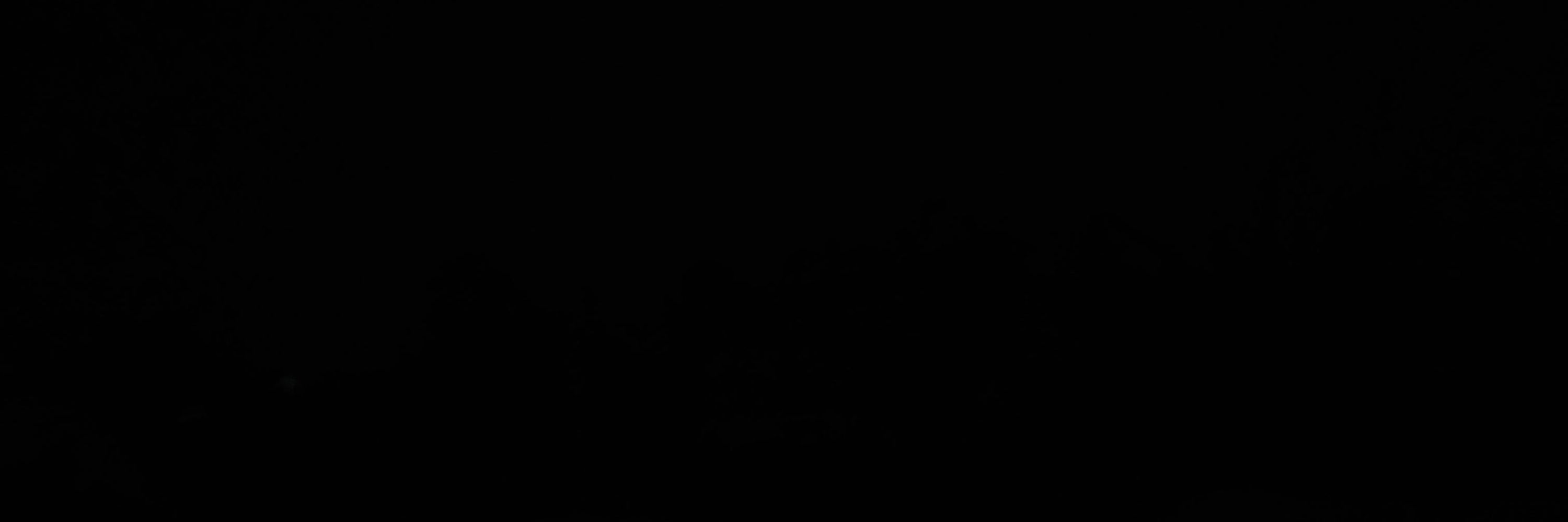 light.𖥔 ݁ ˖