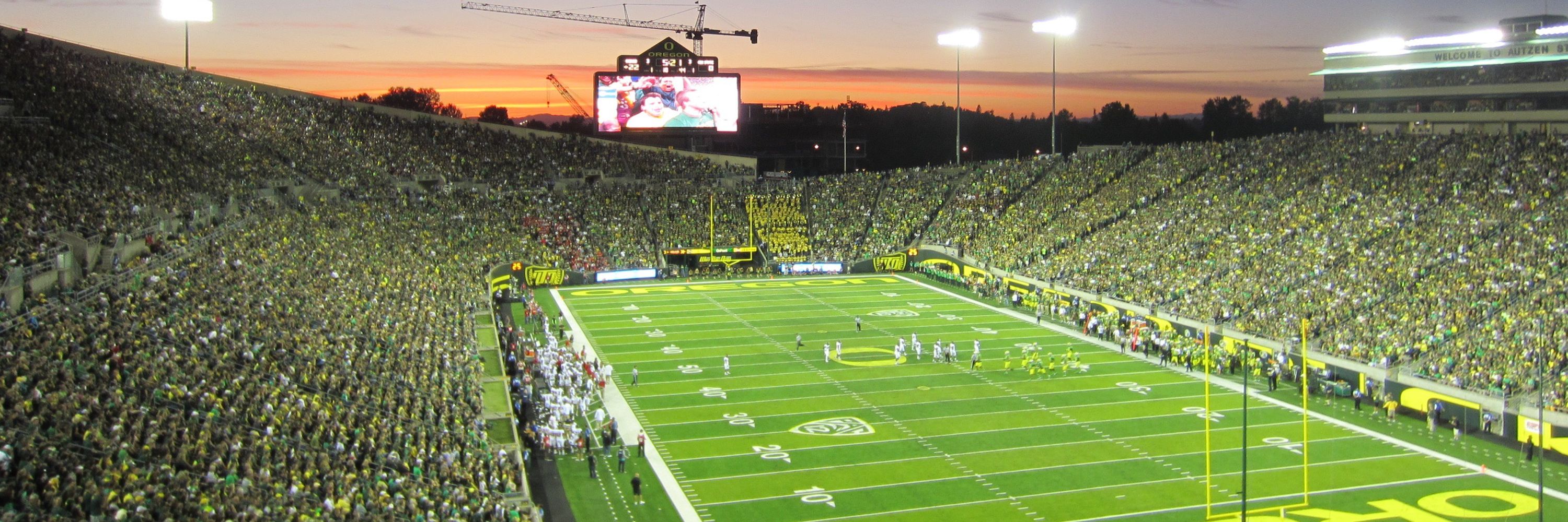 Sco Ducks T-Mitch