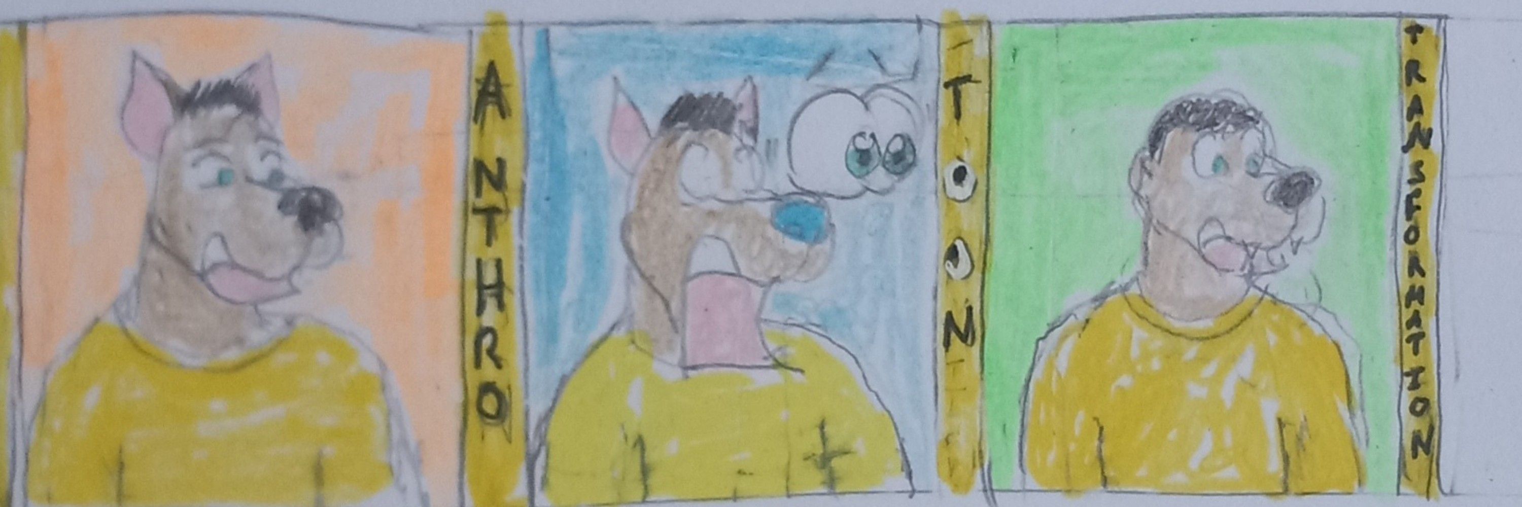 T.C.